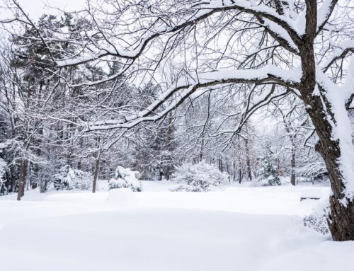 5 Tips for Moving in the Winter!
